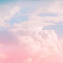 핑크(pink) 이미지