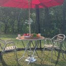 탑 피시 이미지