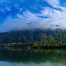 강가의아침 이미지