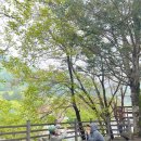 달빛 계곡 캠핑장 | 캠핑장] ⛺달빛고운병곡캠핑장 / 빙기실계곡캠핑장 / 각종체험프로그램 / 키즈캠핑장 /애견동반...