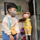 도토리 정원 이미지