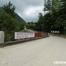 금대에코힐링캠핑장(주차장) 이미지