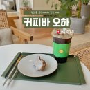 커피바 오하 | 광화문 플랜테리어 감성 카페, 커피바 오하 : 세종문화회관 근처 카페 추천