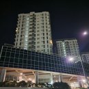 뉴타운동물약국 이미지