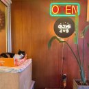 올리브델쿠치나 이미지