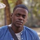 winning dog story's 이미지