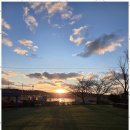 애견펜션 돌봄 이미지