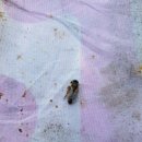 신왕농장 이미지