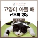 24시연동물의료센터 이미지