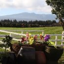 아침초원 목장 이미지