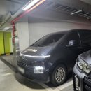 태일농장 | 은퇴 검역탐지견 입양 절차부터 후기까지