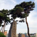 월계천2 Daum카페