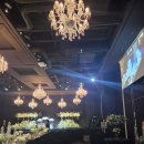 위드미 수원사랑점 | 수원 루클라비 웨딩 축의대 업체 후기 (라비에벨홀)｜매리위드미 (26.03.28)