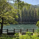 가람스테이3 | 드디어 떴다! 3만원으로 즐기는 템플스테이, 같이 준비하시죠! (티켓팅/기간/후기/후보군 등)