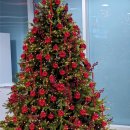 더플러스약국 | (내돈내산) 전주 주말 효천지구 창고형 약국 대형약국 - 메디플러스 약국 후기, 운영 시간, 가격