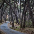 옥천호텔 이미지