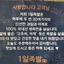 1일족발김해