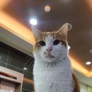 레몬핏휘트니스 - 노원구 동일로 1596 | 레몬핏휘트니스