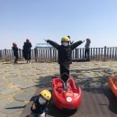 바다애오토캠핑장 이미지