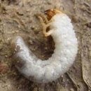 동의보감해독한의원 이미지