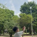 일영Star캠핑장 네이버블로그
