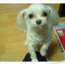 벧엘공업사 이미지