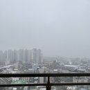 벨라스테이춘천 | 춘천 후평동 신축 가성비 숙소 벨라스테이 호텔 주니어 벨라 스위트룸 후기 내돈내산