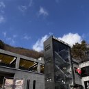 라운드커피 | 옥천 카페 추천｜라운드커피 방문 후기 – 거북이 마스코트 + 맛있는 브런치 &amp; 베이커리 카페