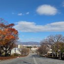 창고구공 이미지