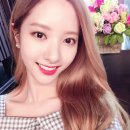 온니몰 Daum카페