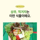 고기친구 이미지