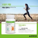 잇템플러스