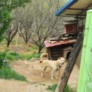 다모우리 이미지