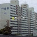 사창로 Daum카페