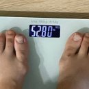 모드니에 이미지