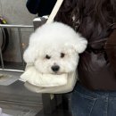 송년 락 콘서트 | 크레딧이 올라갑니다🎞️