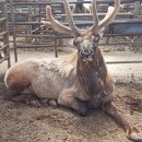 승미농장 이미지