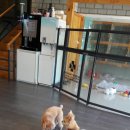 청라 공감 동물의료센터 이미지