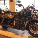 로드킹 코리아 이미지