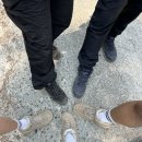 마시마니 문어전복갈비찜 강진점 이미지