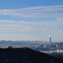 행정사 사무소 래인 이미지