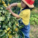 와산리경로당 이미지