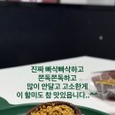 옥디