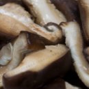 호산주유소 이미지