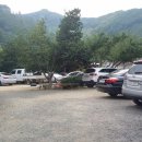 느티나무 민박 이미지