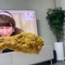 합성동051 | 일상(210426-210502): 재택근무 좋아, 하옹이는 더 좋아. ♥