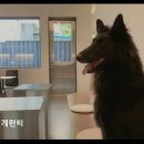 개런티 | 용인 반려동물호텔 용인 수영장 추천 개런티 믿고 맡기는 편안한 공간