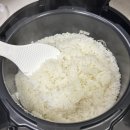 밥맛좋은쌀 맛있는쌀추천 향미쌀 본향미 3kg 후기