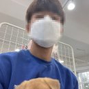 무양반려동물병원 이미지