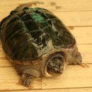 제주자연동물병원 이미지